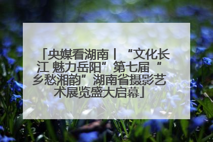 央媒看湖南丨“文化长江 魅力岳阳”第七届“乡愁湘韵”湖南省摄影艺术展览盛大启幕