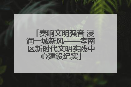 奏响文明强音 浸润一城新风——孝南区新时代文明实践中心建设纪实