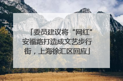 委员建议将“网红”安福路打造成文艺步行街，上海徐汇区回应