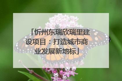 忻州东瑞欣瑞里建设项目：打造城市商业发展新地标