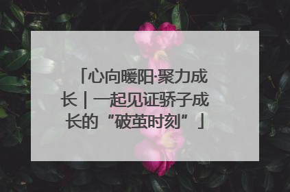 心向暖阳·聚力成长｜一起见证骄子成长的“破茧时刻”