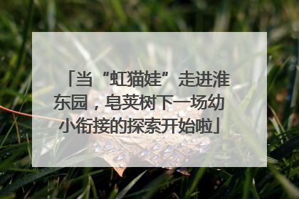 当“虹猫娃”走进淮东园，皂荚树下一场幼小衔接的探索开始啦