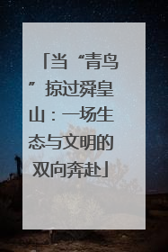 当“青鸟”掠过舜皇山：一场生态与文明的双向奔赴