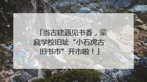 当古建遇见书香，蒙藏学校旧址“小石虎古旧书市”开市啦！