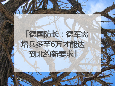 德国防长：德军需增兵多至6万才能达到北约新要求