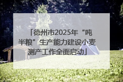 德州市2025年“吨半粮”生产能力建设小麦测产工作全面启动