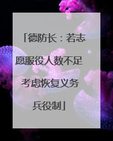 德防长：若志愿服役人数不足 考虑恢复义务兵役制
