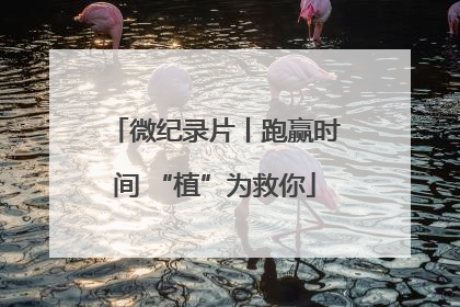 微纪录片丨跑赢时间 “植”为救你
