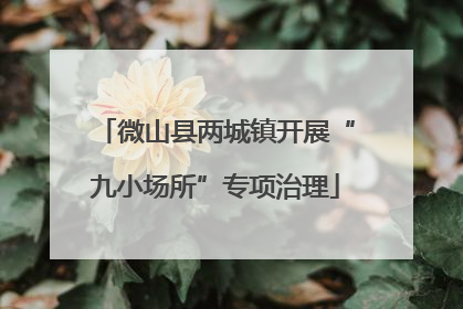 微山县两城镇开展“九小场所”专项治理
