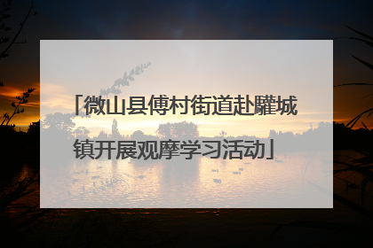 微山县傅村街道赴驩城镇开展观摩学习活动