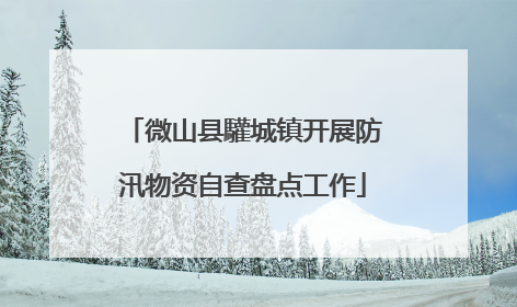微山县驩城镇开展防汛物资自查盘点工作