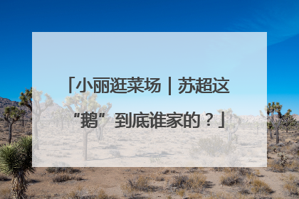 小丽逛菜场｜苏超这“鹅”到底谁家的？
