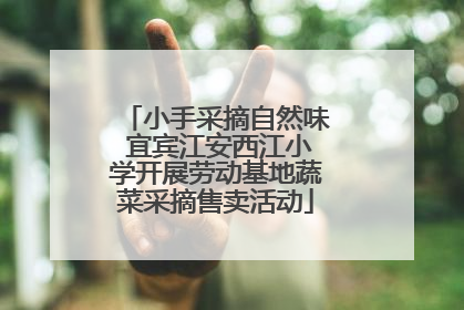 小手采摘自然味 宜宾江安西江小学开展劳动基地蔬菜采摘售卖活动