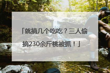 就摘几个吃吃？三人偷摘230余斤桃被抓！