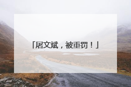 屠文斌，被重罚！