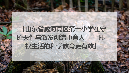 山东省威海高区第一小学在守护天性与激发创造中育人——扎根生活的科学教育更有效