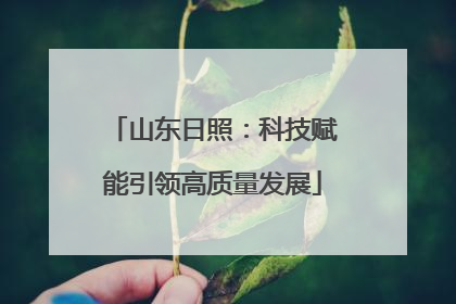山东日照：科技赋能引领高质量发展