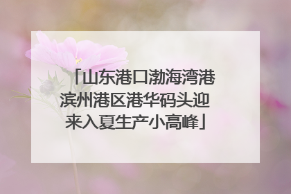 山东港口渤海湾港滨州港区港华码头迎来入夏生产小高峰