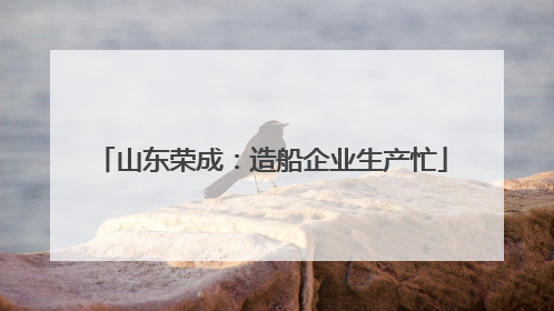 山东荣成：造船企业生产忙