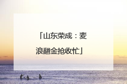 山东荣成：麦浪翻金抢收忙