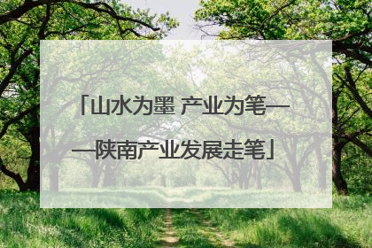 山水为墨 产业为笔——陕南产业发展走笔