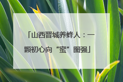 山西晋城养蜂人：一颗初心向“蜜”图强