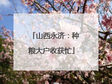 山西永济：种粮大户收获忙