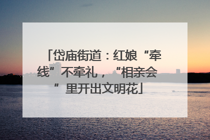 岱庙街道：红娘“牵线”不牵礼，“相亲会”里开出文明花