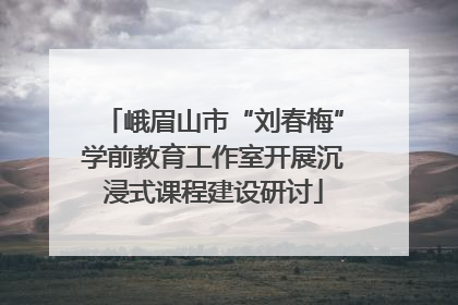 峨眉山市“刘春梅”学前教育工作室开展沉浸式课程建设研讨
