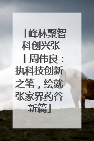 峰林聚智 科创兴张丨周伟良：执科技创新之笔，绘就张家界药谷新篇