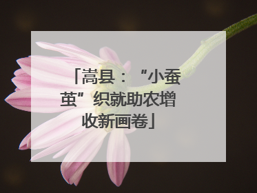 嵩县：“小蚕茧”织就助农增收新画卷