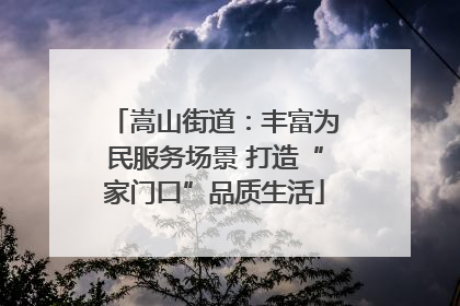 嵩山街道：丰富为民服务场景 打造“家门口”品质生活