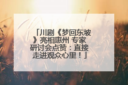 川剧《梦回东坡》亮相惠州 专家研讨会点赞：直接走进观众心里！