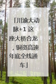 川渝大动脉+1 这座大桥合龙，铜资高速年底全线通车