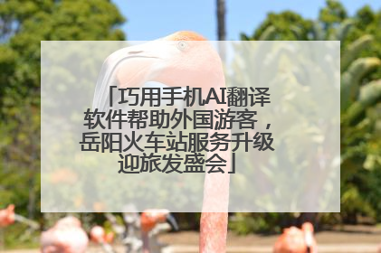 巧用手机AI翻译软件帮助外国游客，岳阳火车站服务升级迎旅发盛会