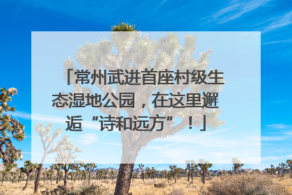 常州武进首座村级生态湿地公园，在这里邂逅“诗和远方”！