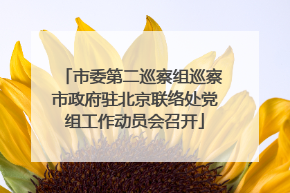 市委第二巡察组巡察市政府驻北京联络处党组工作动员会召开