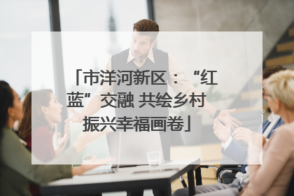 市洋河新区：“红蓝”交融 共绘乡村振兴幸福画卷