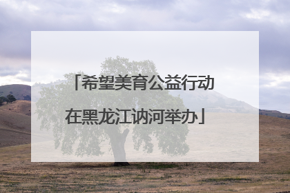 希望美育公益行动在黑龙江讷河举办