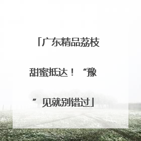 广东精品荔枝甜蜜抵达！“豫”见就别错过