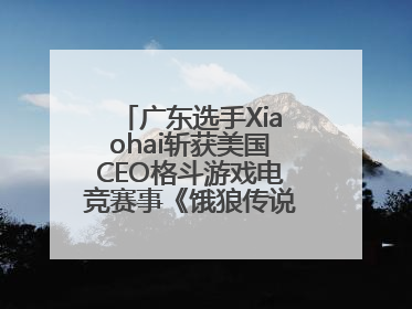 广东选手Xiaohai斩获美国CEO格斗游戏电竞赛事《饿狼传说》项目冠军