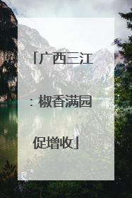 广西三江：椒香满园促增收