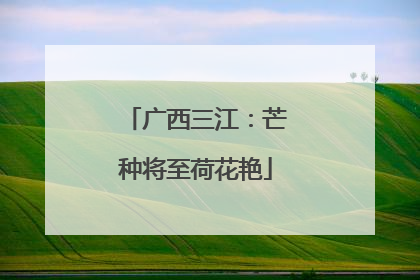 广西三江：芒种将至荷花艳