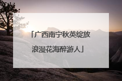 广西南宁秋英绽放 浪漫花海醉游人