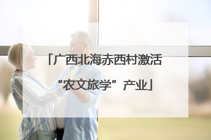 广西北海赤西村激活“农文旅学”产业