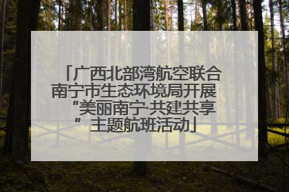 广西北部湾航空联合南宁市生态环境局开展“美丽南宁·共建共享”主题航班活动