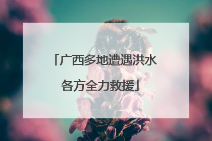 广西多地遭遇洪水 各方全力救援