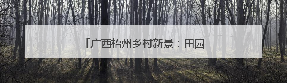 广西梧州乡村新景：田园铁路相映 勾勒和美画卷