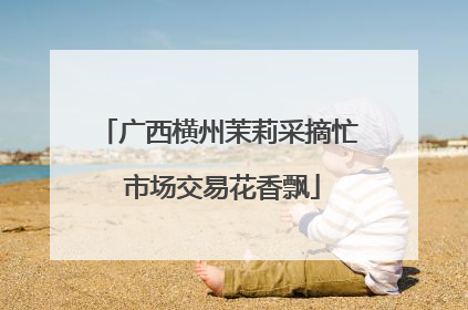 广西横州茉莉采摘忙 市场交易花香飘
