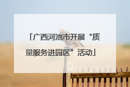 广西河池市开展“质量服务进园区”活动